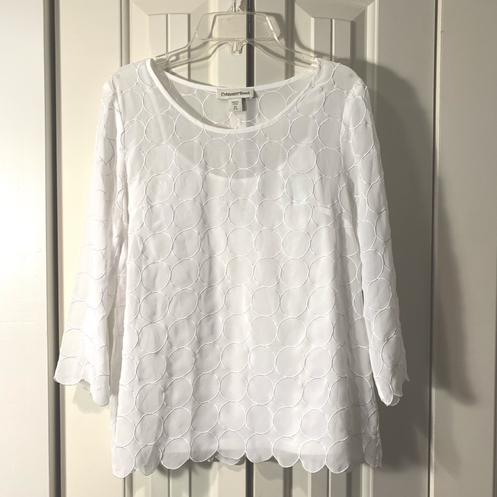 Embroidered sheer blouse & cami